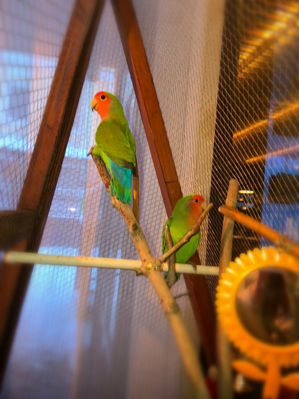 Гостиница Гостиный дворик Ярославль-26